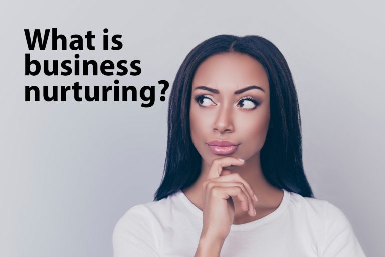 What is business nurturing?